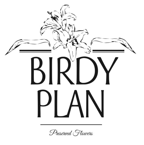 BIRDY PLAN logo